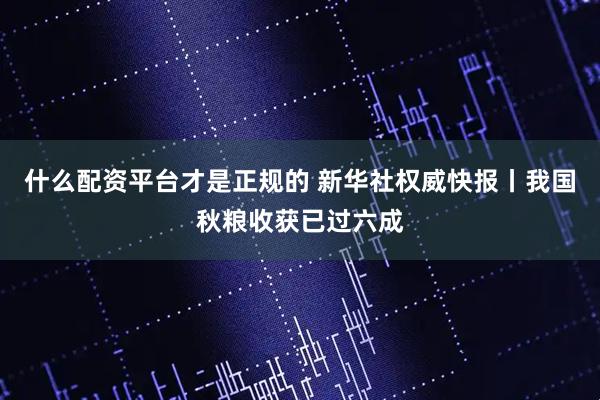 什么配资平台才是正规的 新华社权威快报丨我国秋粮收获已过六成