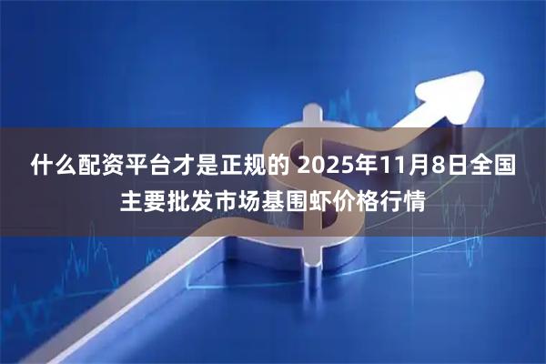 什么配资平台才是正规的 2025年11月8日全国主要批发市场基围虾价格行情