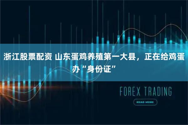 浙江股票配资 山东蛋鸡养殖第一大县，正在给鸡蛋办“身份证”